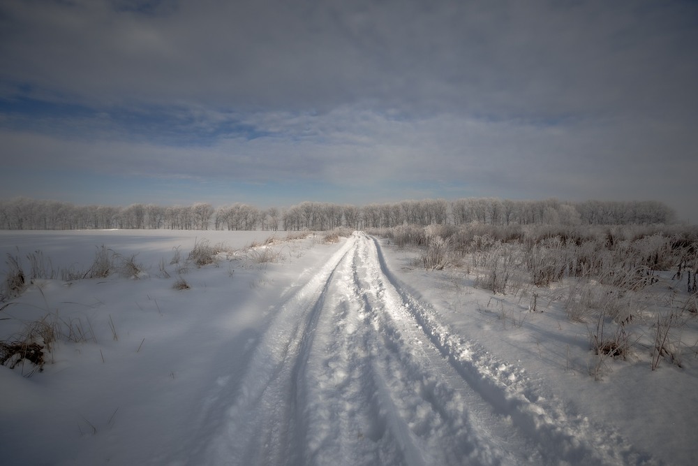 Фотографія Дорога в полі / Ігор Солодовніков / photographers.ua