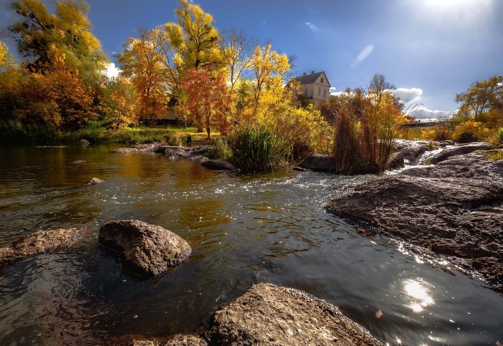 Фотографія В осінніх променях сонця / Ігор Солодовніков / photographers.ua