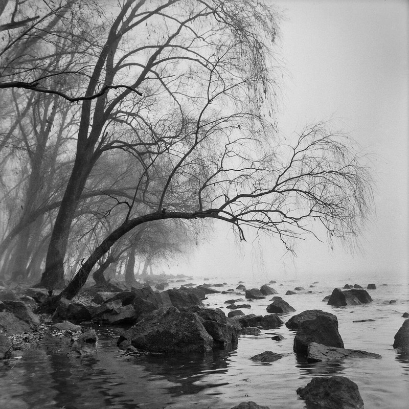 Фотографія Щоб виразити точно, краще промовчати  (Вей Де-Хань) / Ігор Солодовніков / photographers.ua