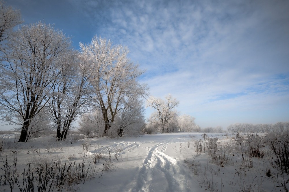 Фотографія Зима / Ігор Солодовніков / photographers.ua