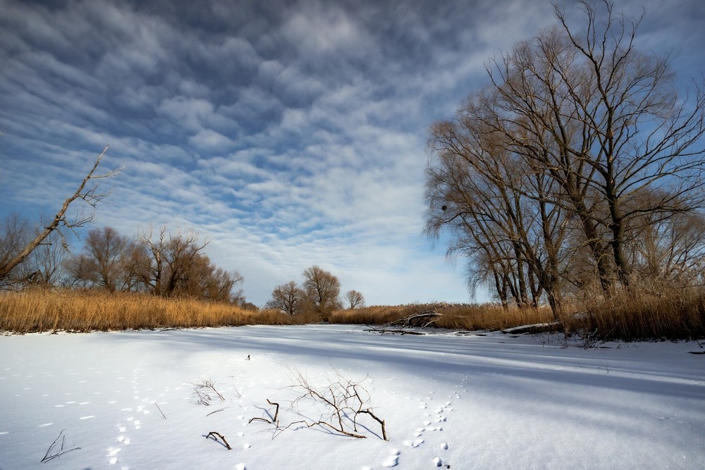 Фотографія Зимовий день / Ігор Солодовніков / photographers.ua