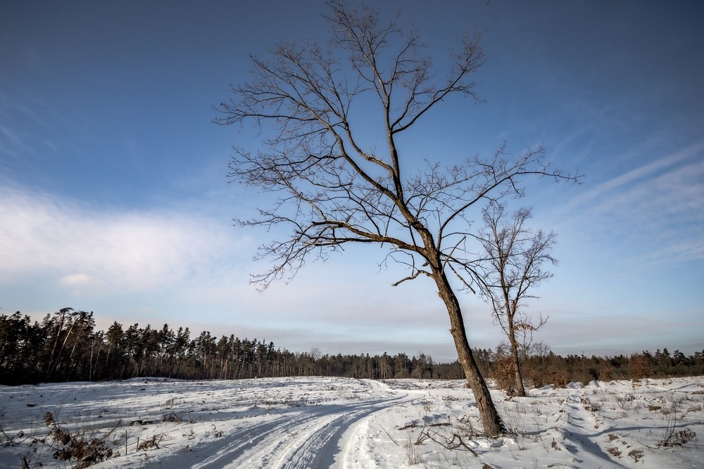 Фотографія Зимова дорога / Ігор Солодовніков / photographers.ua