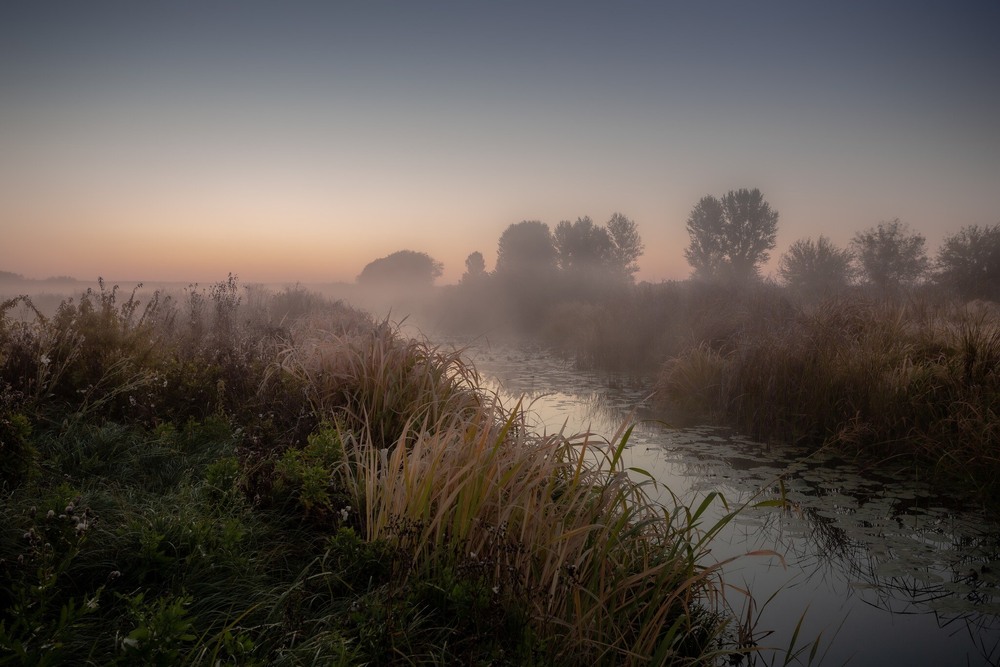 Фотографія Туманний ранок на Тясмині / Ігор Солодовніков / photographers.ua