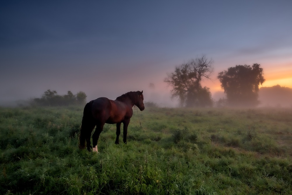 Фотографія Дивись, як сонце сходить / Ігор Солодовніков / photographers.ua