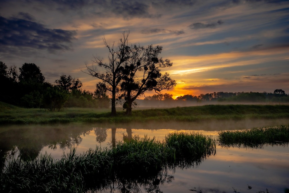Фотографія Світанок на Тясмині / Ігор Солодовніков / photographers.ua