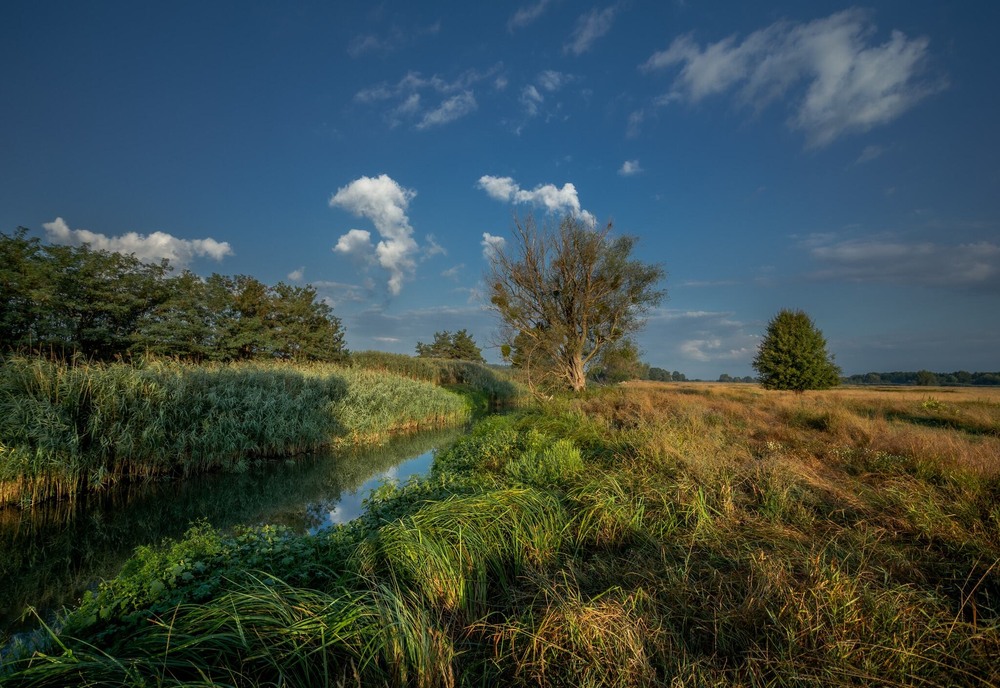 Фотографія По Тясмину / Ігор Солодовніков / photographers.ua