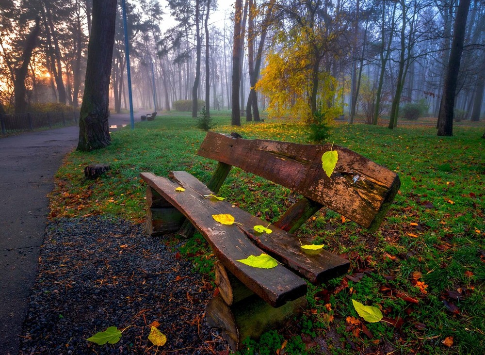 Фотографія Баба-осінь ридає нестримно у спустошену душу мою..... / Ігор Солодовніков / photographers.ua