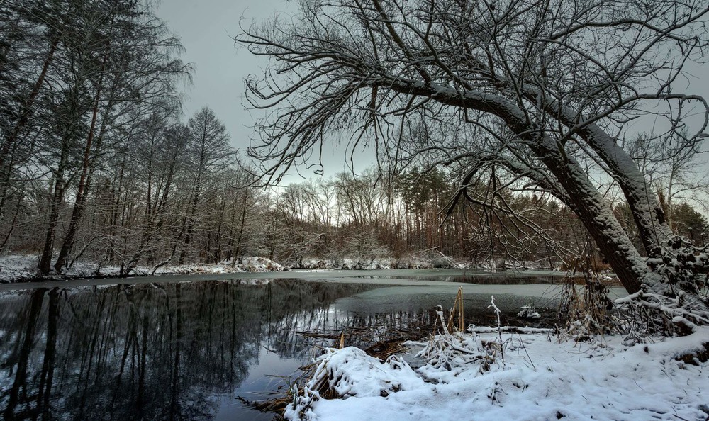 Фотографія Усе в снігах, як чаша кришталева, у срібних жилках скованих джерел... / Ігор Солодовніков / photographers.ua