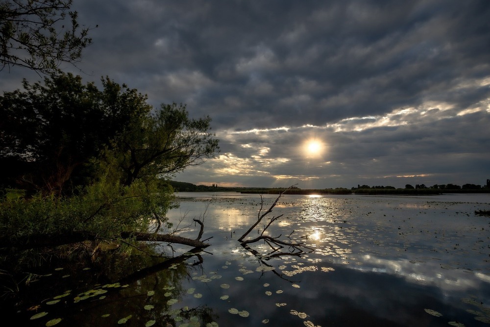 Фотографія Вечір догора.... / Ігор Солодовніков / photographers.ua