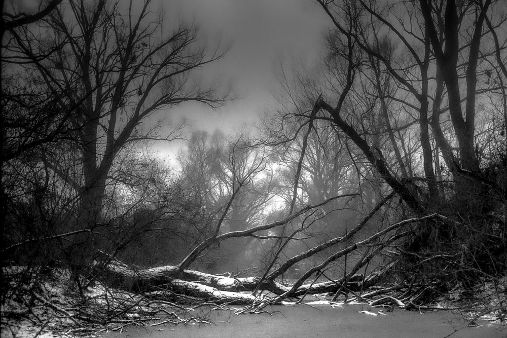 Фотографія Не дозволяй злу запевнити тебе, що у тебе можуть бути таємниці від нього. Ф.Кафка / Ігор Солодовніков / photographers.ua