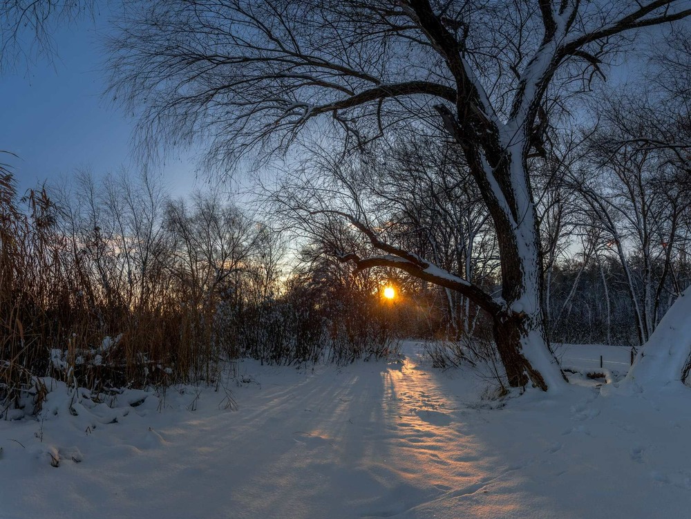 Фотографія Вночі почули небеса моє прохання - сипнули щедро білим снігом на світанні.... / Ігор Солодовніков / photographers.ua