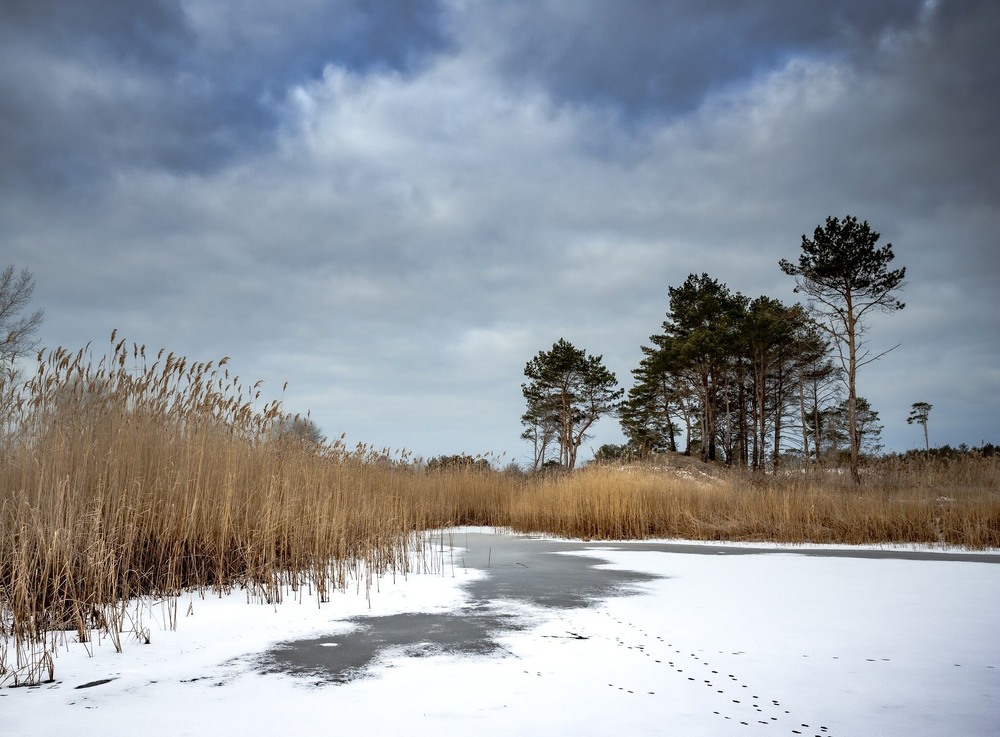 Фотографія Прийшла зима, скувала річку / Ігор Солодовніков / photographers.ua