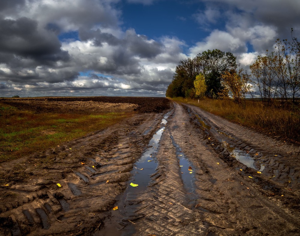 Фотографія Осінню через багнюку і поле на кінець села я їхав / Ігор Солодовніков / photographers.ua