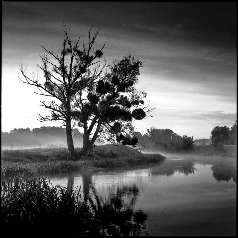 Фотографія Травневі світанки на Тясмині / Ігор Солодовніков / photographers.ua