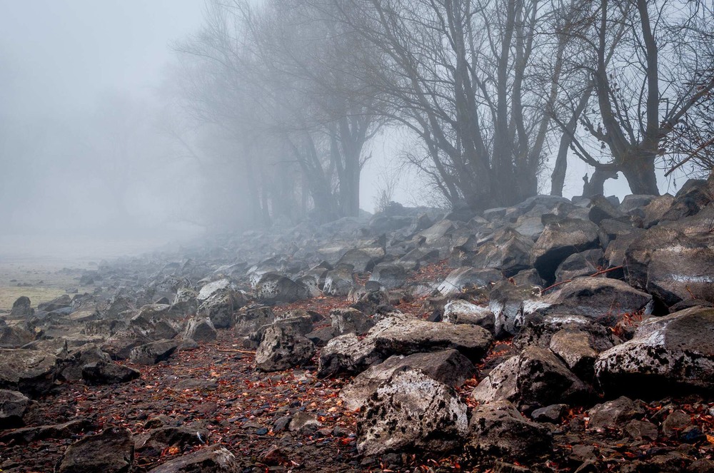 Фотографія Вода в Дніпрі зійшла і камені накрив густий туман... / Ігор Солодовніков / photographers.ua
