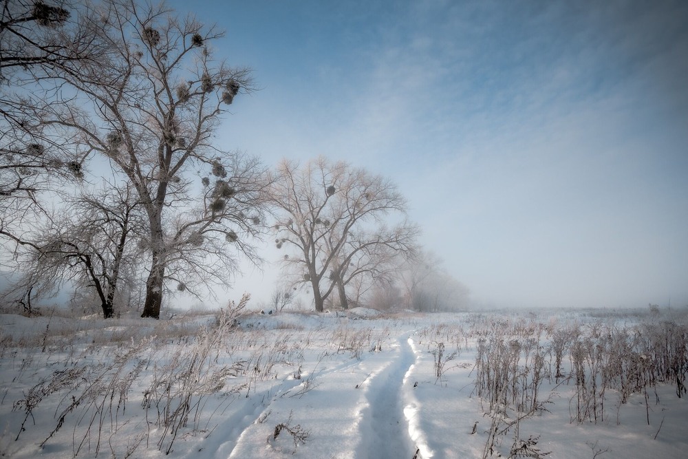 Фотографія Зима, дерева, дорога.... / Ігор Солодовніков / photographers.ua