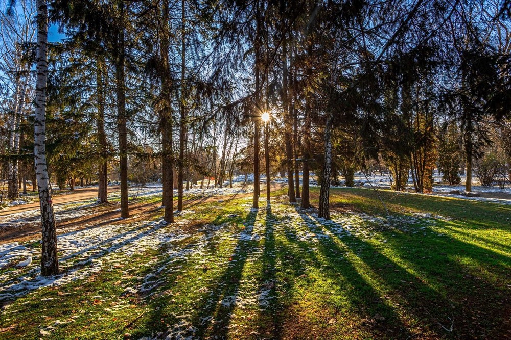 Фотографія З дерев згори летять сніжинки, у світі тиша, благодать... / Ігор Солодовніков / photographers.ua