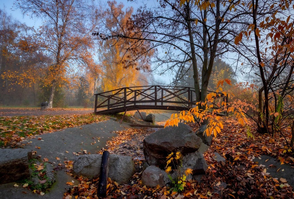 Фотографія Осінь. Листопад. / Ігор Солодовніков / photographers.ua