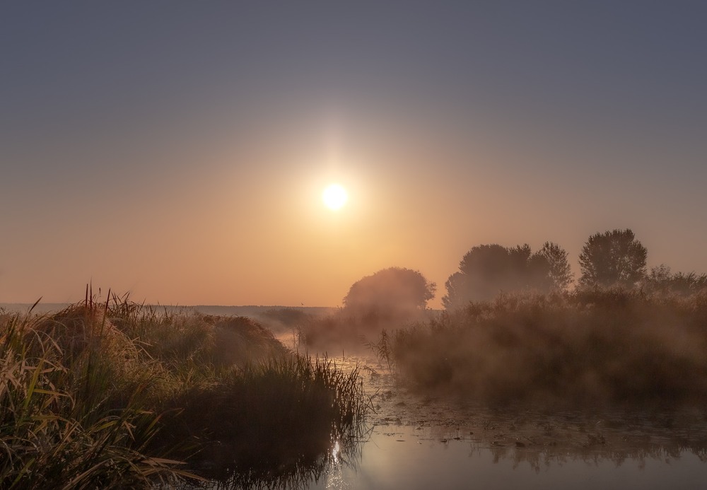 Фотографія Зійшло сонце - новий день почався.... / Ігор Солодовніков / photographers.ua