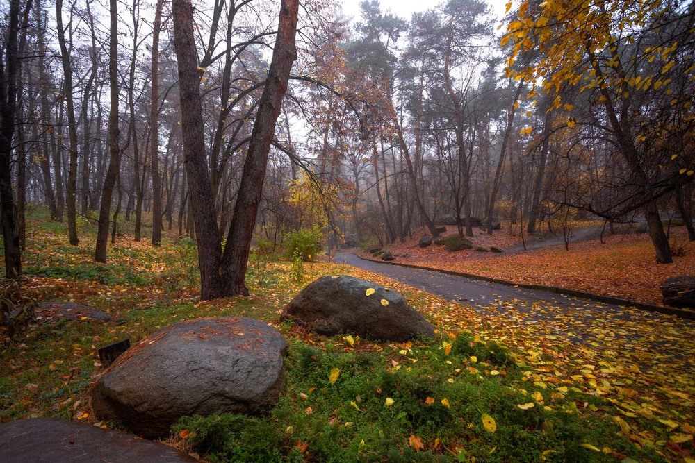 Фотографія Осінь в парку / Ігор Солодовніков / photographers.ua