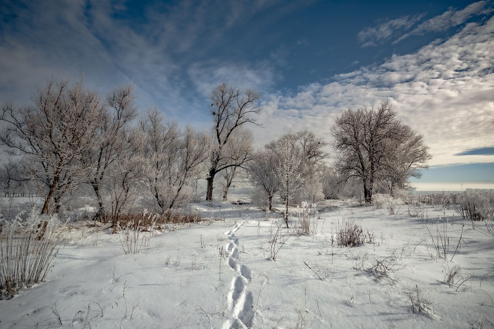 Фотографія Слід на снігу / Ігор Солодовніков / photographers.ua