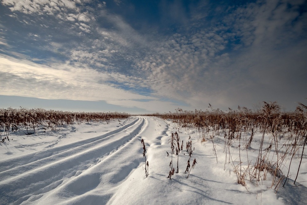 Фотографія Зимова дорога / Ігор Солодовніков / photographers.ua