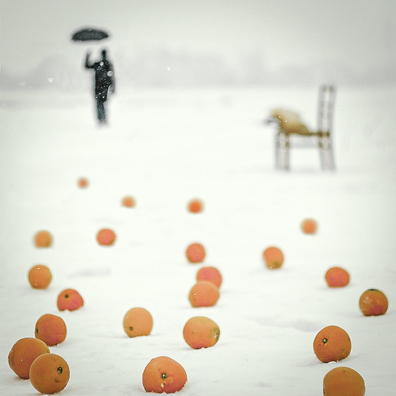 Фотографія Oranges / NoName Time / photographers.ua