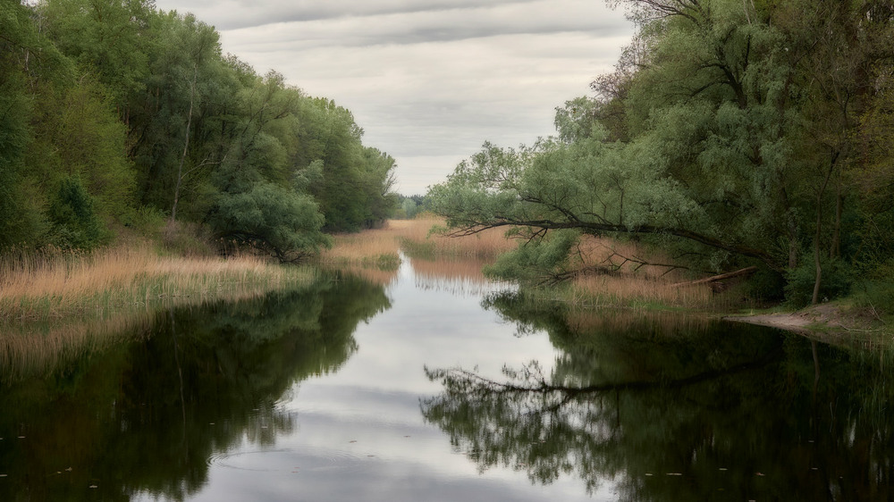 Фотографія Похмурий вечір / Юрій Юрков / photographers.ua