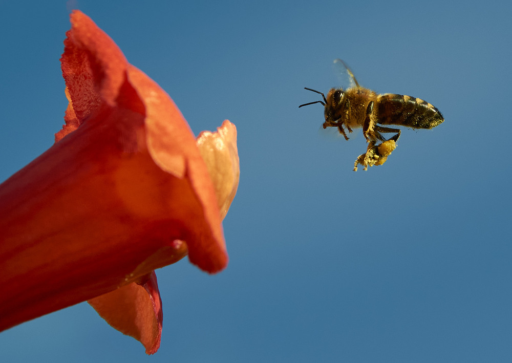 Фотографія Трудівниця / Юрій Юрков / photographers.ua