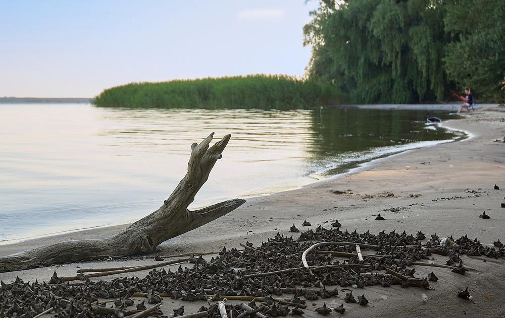 Фотографія Пейзаж / Юрій Юрков / photographers.ua