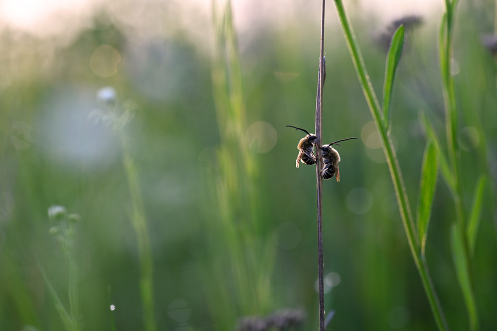 Фотографія На початку дня / Ірина Філіпенко / photographers.ua