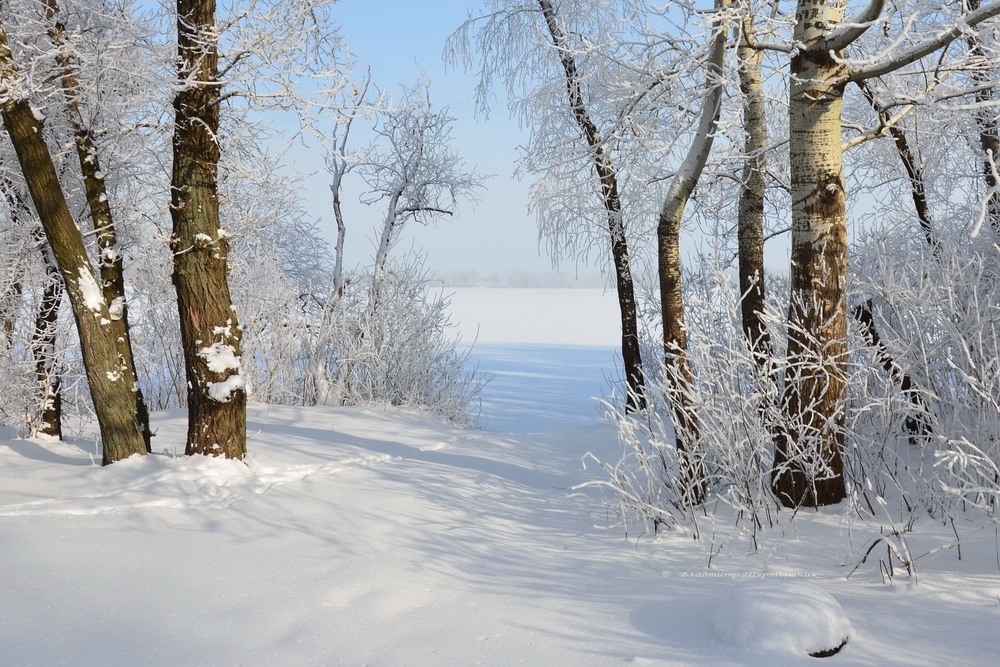 Фотографія Рання зима цього року... / Gregori Yakimchuk / photographers.ua