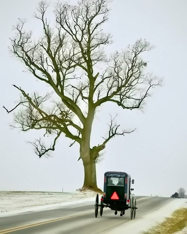 Фотографія І знову про амишів / Gregori Yakimchuk / photographers.ua
