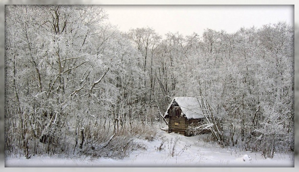 Фотографія Хатинка засипана снігом... / Gregori Yakimchuk / photographers.ua