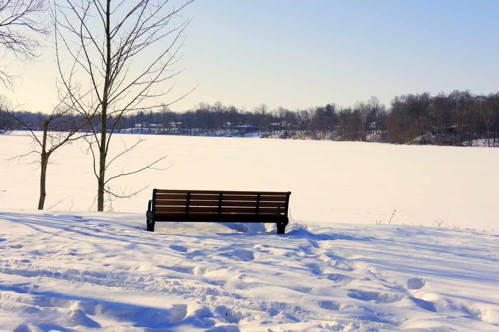 Фотографія В очікуванні весни. / Gregori Yakimchuk / photographers.ua