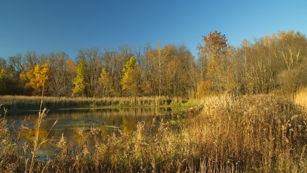 Фотографія Сьогодні ще осінь... / Gregori Yakimchuk / photographers.ua