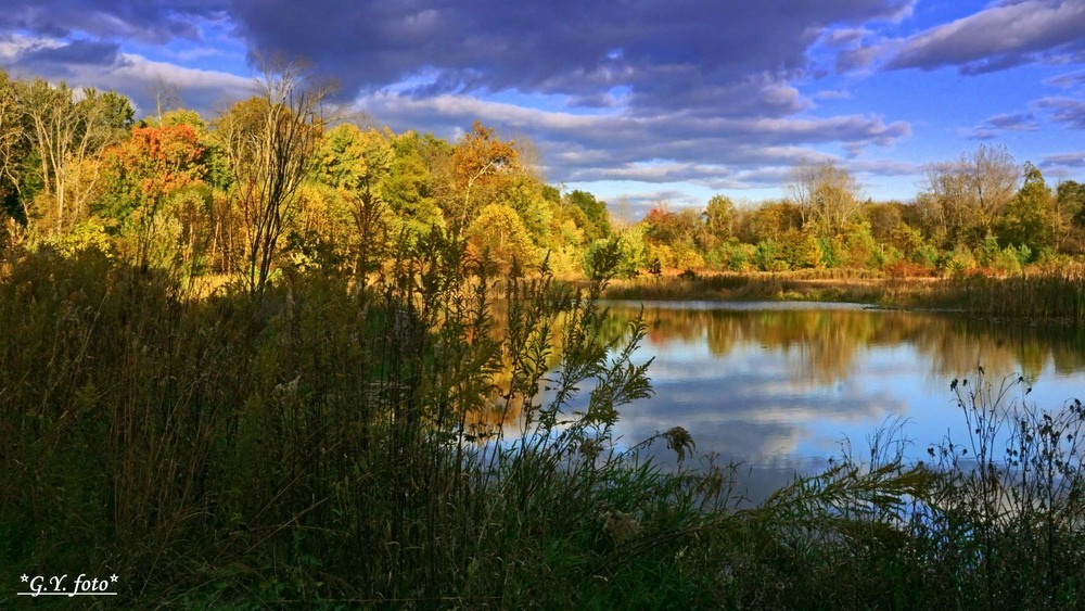 Фотографія Повертаючись в осінь / Gregori Yakimchuk / photographers.ua