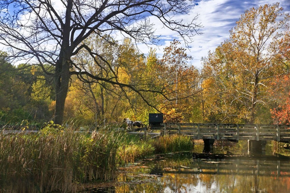 Фотографія Вже скоро осінь фарби розіллє / Gregori Yakimchuk / photographers.ua