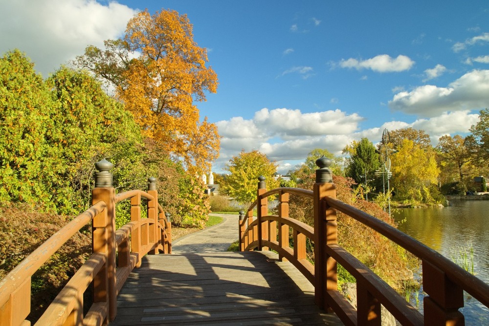 Фотографія В осінньому парку / Gregori Yakimchuk / photographers.ua