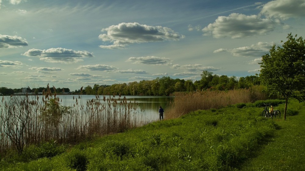 Фотографія Ні хвоста, ні луски... / Gregori Yakimchuk / photographers.ua