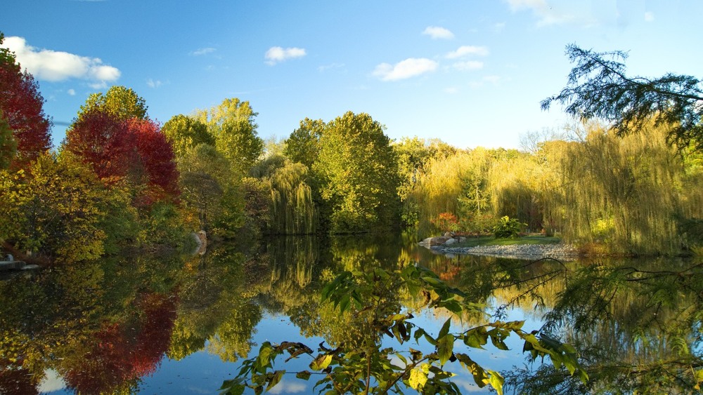 Фотографія Осінь у повній красі / Gregori Yakimchuk / photographers.ua
