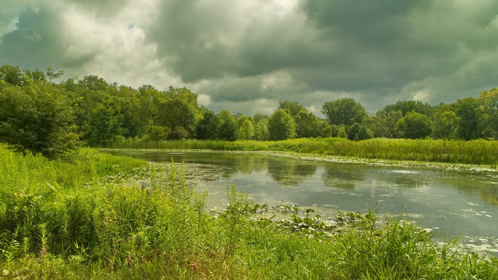 Фотографія В смарагдових тонах / Gregori Yakimchuk / photographers.ua