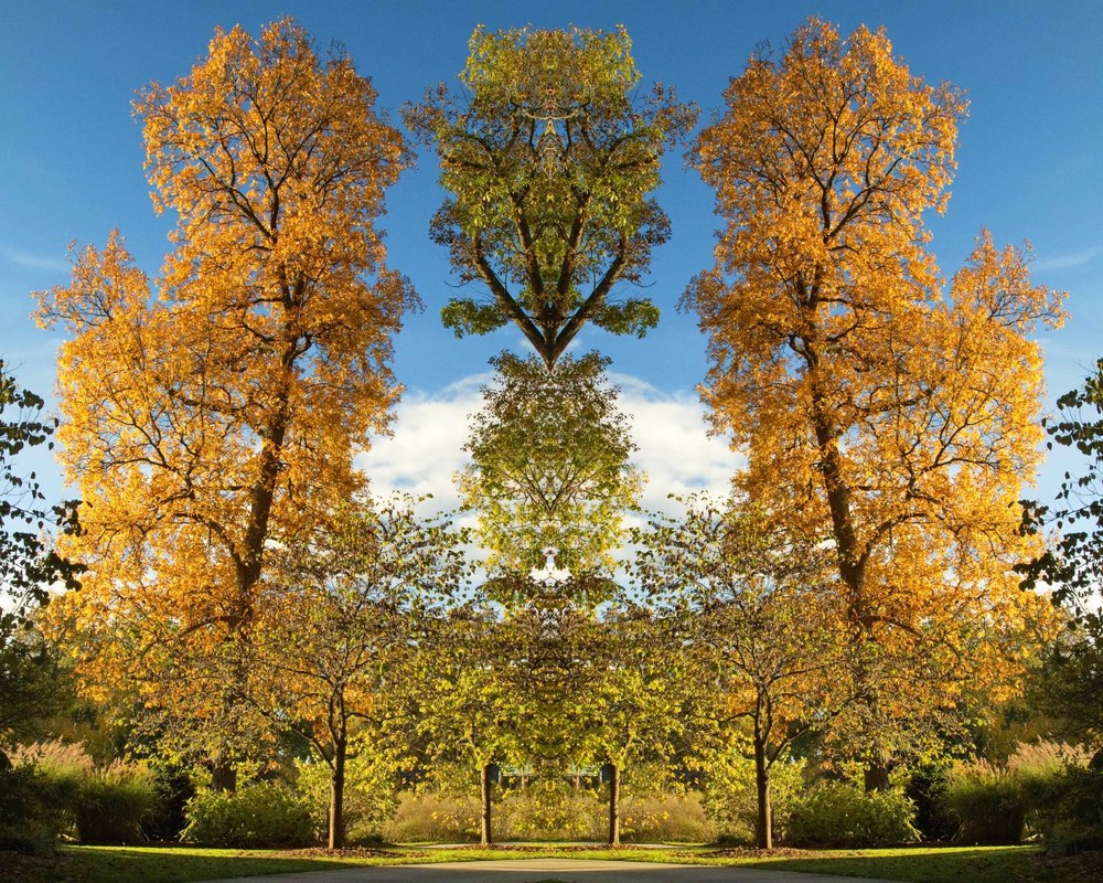 Фотографія Осінь і її відзеркалення / Gregori Yakimchuk / photographers.ua