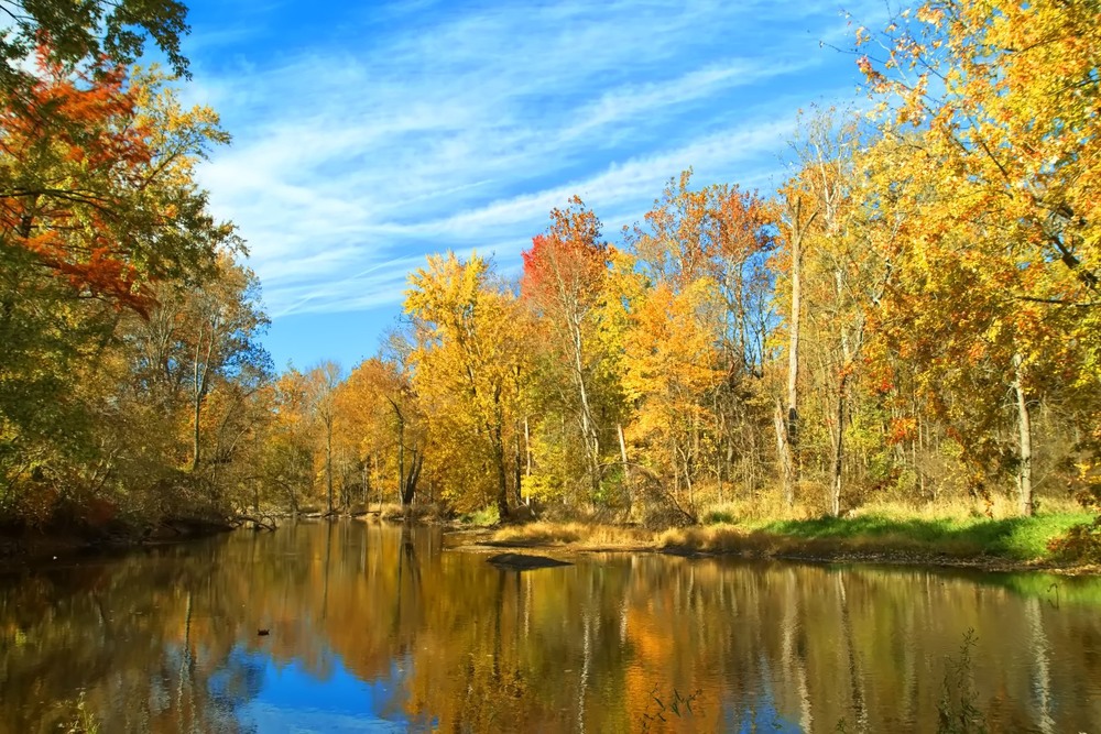 Фотографія Всі фарби осені / Gregori Yakimchuk / photographers.ua