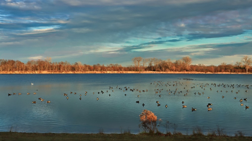 Фотографія Надвечір'я на озері - перед Новим роком. / Gregori Yakimchuk / photographers.ua