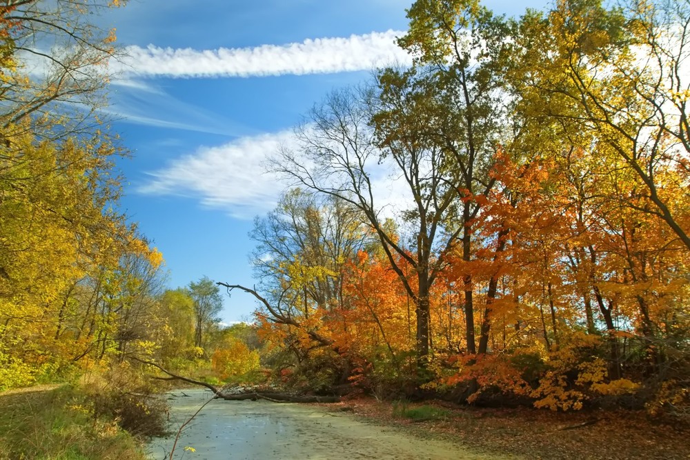 Фотографія А в нас іще панує всюди осінь... / Gregori Yakimchuk / photographers.ua