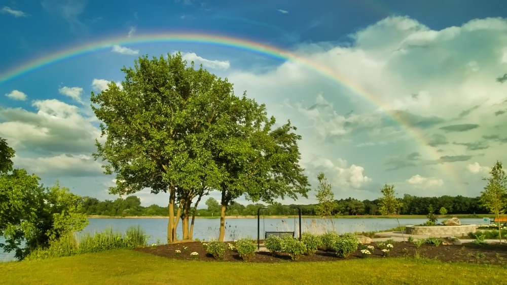 Фотографія Після грози / Gregori Yakimchuk / photographers.ua