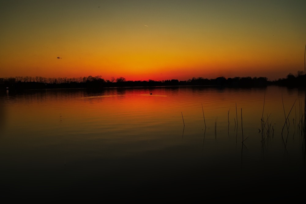 Фотографія Вечір на озері. / Gregori Yakimchuk / photographers.ua