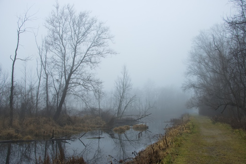 Фотографія Накотився на річку туман / Gregori Yakimchuk / photographers.ua