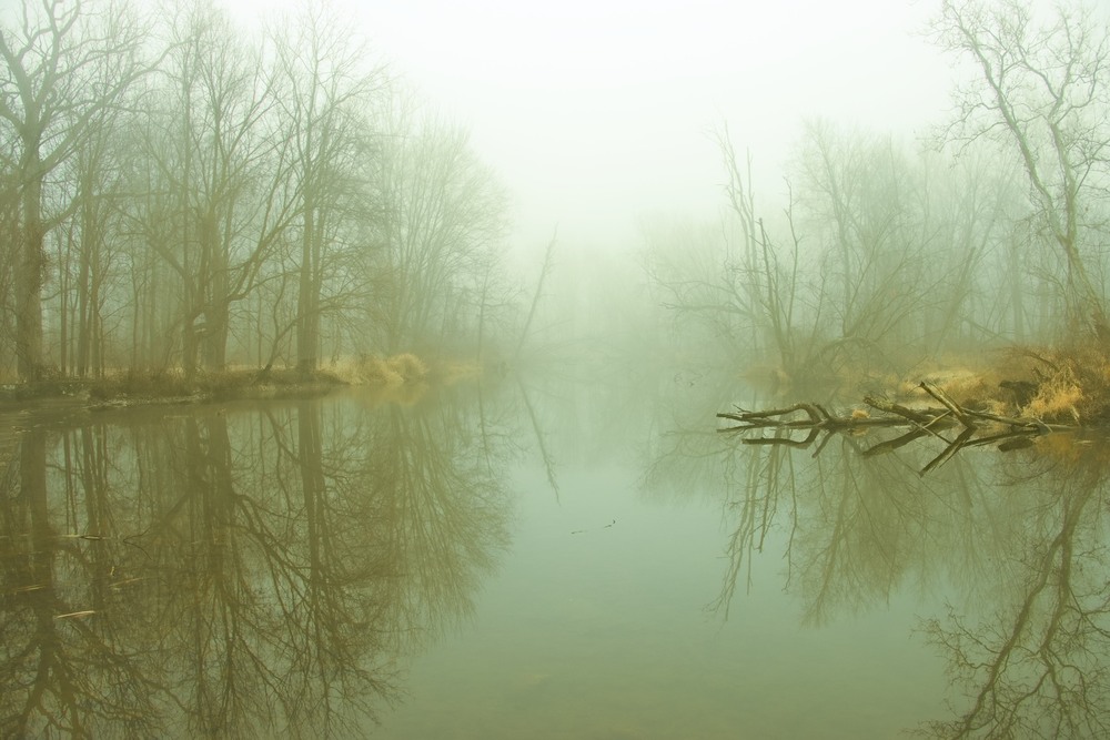 Фотографія Над рікою стелиться туман І верби мріють в тишині... / Gregori Yakimchuk / photographers.ua